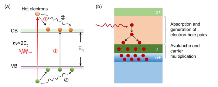 Nanomaterials：中国科学院上海技术物理研究所王海